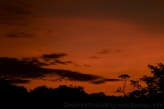 A beautiful Amazonian atardecer (sunset)